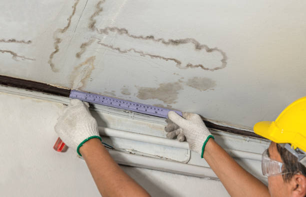 Affordable Water Damage Repair solutions in Van Vleck, TX